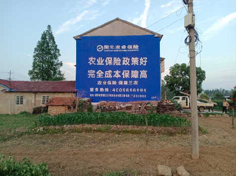 宁明墙体广告为何受追捧？